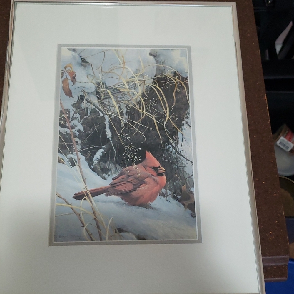 Vintage Robert Bateman Cardinal Print / Vintage Framed Robert Bateman Print